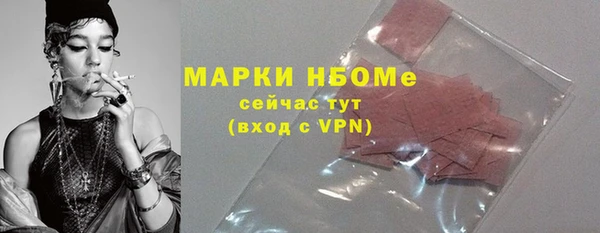 прущие грибы Инсар