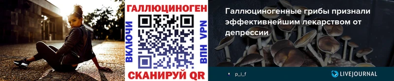 Псилоцибиновые грибы Psilocybine cubensis  Никольское 